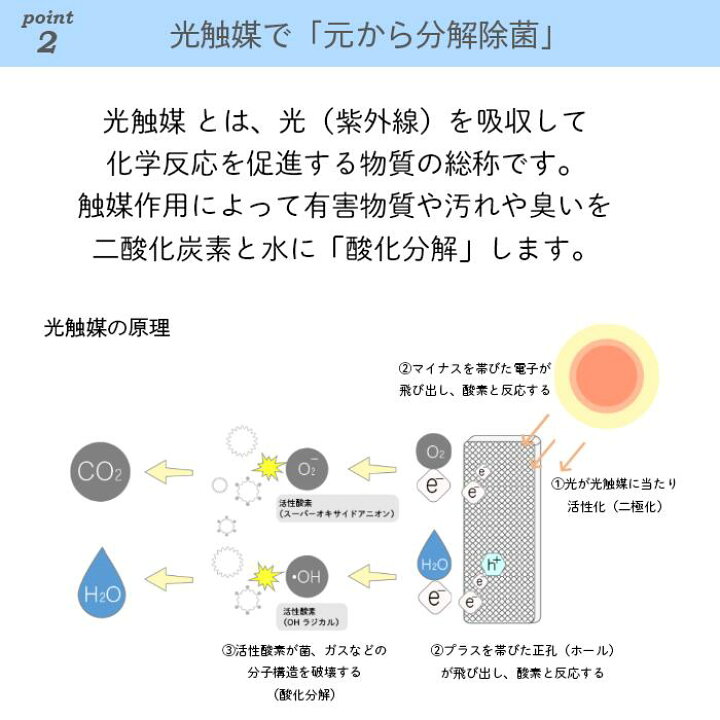 楽天市場 特典 交換フィルター付 ブルーデオ 光触媒 空気清浄機 フジコー Bluedeo S型 Mc S101 日本アトピー協会推奨品 静音 準hepaフィルター 置き型 スタイリッシュ コンパクト ウイルス対策 カビ 卓上 小型 日本製 光触媒特許技術 空間除菌 空気消臭除菌装置 8