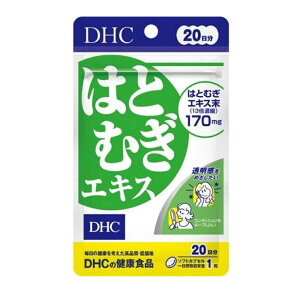 DHC ͂ƂނGLX 20i20j/e r^~E 