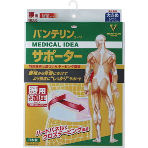 oeR[T|[^[ p^Cv 傫 LTCY pXesN 1