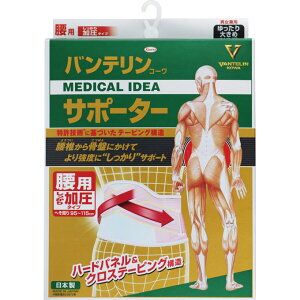 oeR[T|[^[ p^Cv 傫 LLTCY pXesN 1