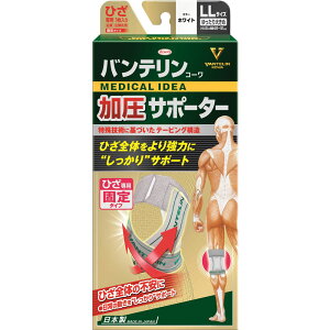 oeR[T|[^[ ЂpŒ^Cv 傫߃TCY zCg 1