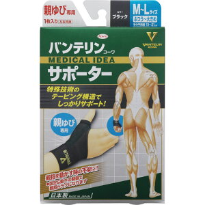 oeR[T|[^[ eѐp ӂ`傫߃TCY ubN 1