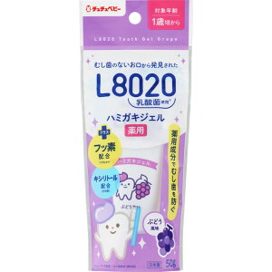 ``xr[ L8020_ pn~KLWF Ԃǂ 50g