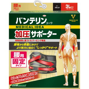 oeR[T|[^[ pŒ^Cv 3LTCY ubN 1