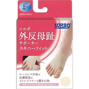 y݌Ɍz\{OT|[^[ XLj[tBbg L x[W 1