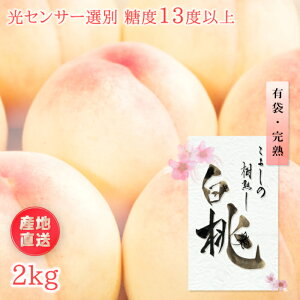 n 2kg 6`8 x13xȏۏ Cȏ Yn RY   L n p ① 