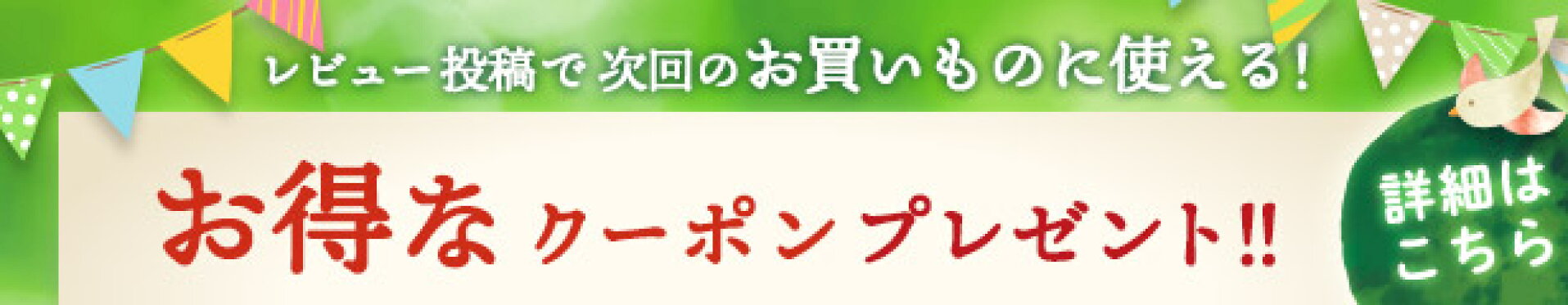 レビュー投稿でお得なクーポンプレゼント！