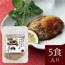 道場 六三郎 100歳ごはん やわらか仕上げ お米でつないだやわらかハンバーグ(5食入り) 新聞掲載 料理の鉄人 国産 美味しい ソフト やわらかい 介護食　飲み込み 食べやすい 冷凍 冷凍食品 美味しい惣菜 惣菜 グルメ 高級 高齢者 祖父母 誕生日 プレゼント 敬老の日