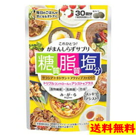 メタボリック がまんしらず サプリ み・が・る 糖質 脂質 塩分 60粒 ダイエット サプリメント