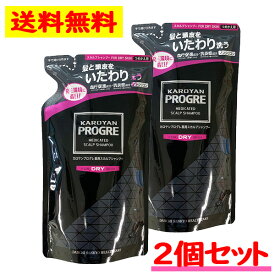 カロヤン プログレ 薬用 スカルプ シャンプー DRY 詰替え 240ml　2点セット 頭皮 発毛 乾燥 低刺激 ふけ かゆみ 第一三共ヘルスケア