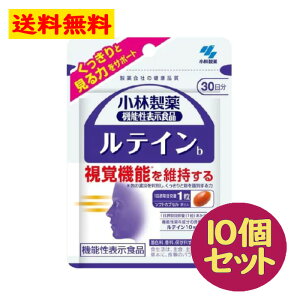 小林製薬 の 機能性表示食品 ルテイン 30日分(30粒) 10点セット 視覚機能を維持する 目 眼 疲れ アイケア アントシアニン 【小林製薬】