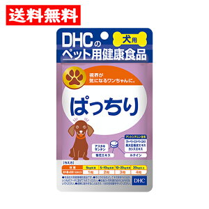 DHC p ς 60 ybgp p ⏕Hi TvgyDHCz