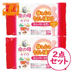 命の母 カイロ 貼るタイプ (10個入) 冷えが辛い女性に 2点セット 使い捨て 冷え性 日本製【小林製薬】