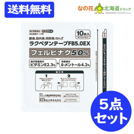 【第2類医薬品】ラクペタンテープFB5.0EX ラミネート袋(箱なし)10枚入 【ラクール薬品】 フェルビナク5.0％　10点セット