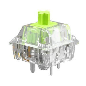 Glorious Glorious Raptor Switches - Standard (NEW PKG)(0810069978925) ڈ݌=