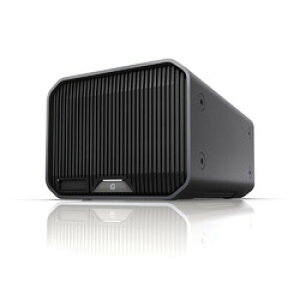 WESTERN@DIGITAL G-RAID PROJECT2 24TB(SDPHK2H-024T-SBAAD) 񂹏i