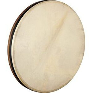 MEINL �}�C�l�� AE-FD22T /22�C���` X 2 1/2�C���` TAR �d����݌ɕi