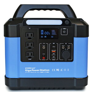 ebNX EVER Bright MKp[Xe[V 35mAh 1(SSBGPS-A) ڈ݌=