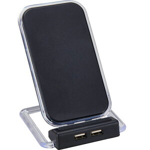 [GCLX^[ 2USB|[gtCX[d AX^u(C6040586) 񂹏i