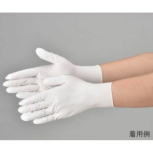 Gum jggC4 zCg pE_[t[ S 1P[Xi100×30j 558(4520951011703) 񂹏i