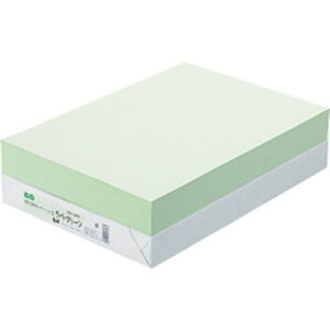 TPS GRJ[y[p[II B4 CgO[ 1(500)(AEC-LGB4B) ڈ݌=