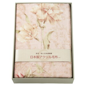 [GCLX^[ {ANj[}C[ѕz(щH)(22516307) 񂹏i