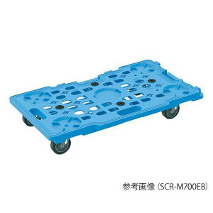 �T�J�G ���b�V���L�����[�@10��� (1��(10�����))(SCR-M700NQBX) ���񂹏��i