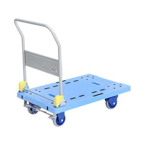 q É 300kg (1)(NP-306GS) ڈ݌=