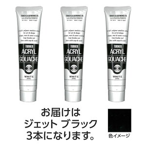 �^�[�i�[�F�� �A�N�����K�b�V�� 100ml 9 �W�F�b�g�u���b�N 3��(TURNER108584) ���񂹏��i