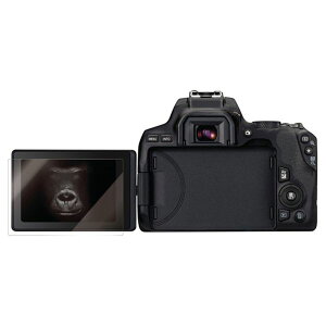 GR ELECOM fWJtیKXtB  ɔ EOS Kiss X10(DFL-CKX10GG01) ڈ݌=yʌz