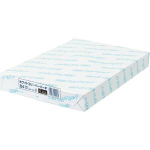 {pv zCgRs[y[p[F B4 1(500)(PPCWCPFB4) ڈ݌=