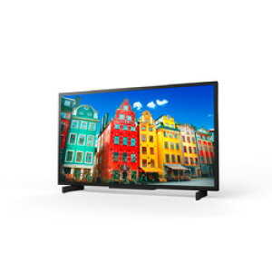 \j[ Sony TCl[WfBXvC 43^/3840×2160/HDMI(FW-43BZ30J/BZC) 񂹏i