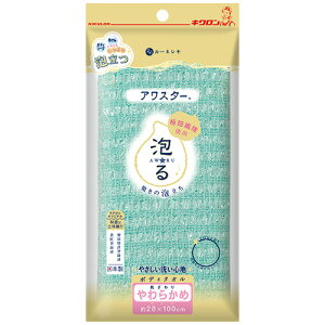 LN [lV {fB^I AX^[ 炩 O[ 1(201006) ڈ݌=