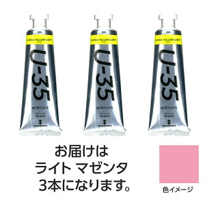 ターナー色彩 U35 ライトマゼンタ60ml 3個(TURNER108738) 取り寄せ商品