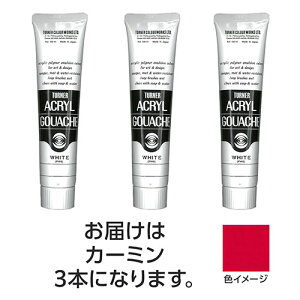 �^�[�i�[�F�� �A�N�����K�b�V�� 100ml 22�J�[�~�� 3��(TURNER108591) ���񂹏��i