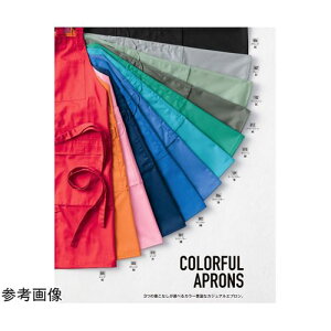 RcC Gv 555001lCr[u[iNBjF t[ 555-001-f(69-8313-30) 񂹏i