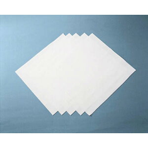 {NX ICV[g [+|GXe 525mm×500mm 1(120)(HOC-5052) ڈ݌=