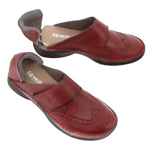 ACL yC(Ă炭) ܂ܒE/͂ ƂJ Cxsv җl p 23cm r[(AIKI70281) 񂹏i