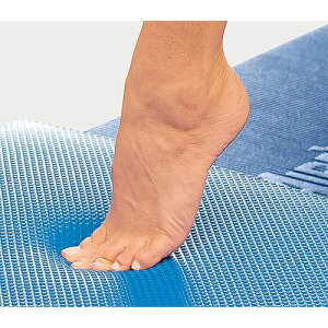 �G�A���b�N�X�� �o�����X�p�b�h �G���[�g[AIREX Mat] AMB-ELITE (1�{)(8-5483-01) �ڈ��݌�=��
