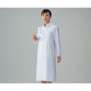 AY fBX|GviPEj S (1(100))(CN606) 񂹏i