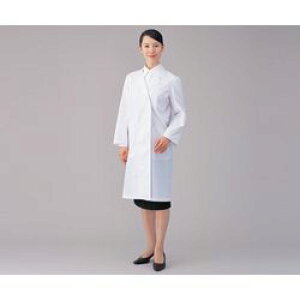 Zu ߏq(Ђ)@_u (1)(AZ51-011 M) 񂹏i