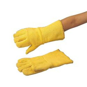 AY ϔM܁@5{w^Cv (1o)(FR-1602) 񂹏i