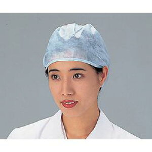 fBX|Lbvi댋у^Cvj  100 SC-D1 (1(100)) 񂹏i