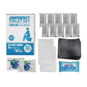 GsIX ЊQ΍gCZbg 10 MT20R(4562121889088) 񂹏i