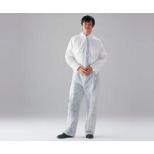 AY fBX|sDzȂ@1 (1)(CN401A-L) 񂹏i