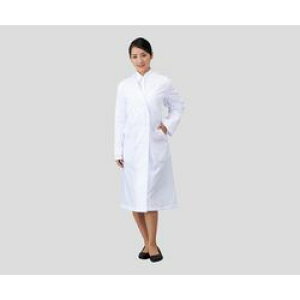 AY K߁@VO@p@S (1)(JH-FS) 񂹏i