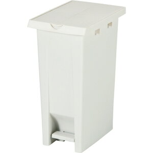 GR _Xg{bNX y_2t^ 37L zCg 1(808344-01zCg) ڈ݌=