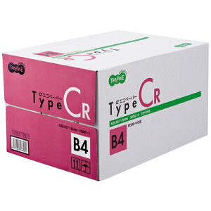 TPS GRy[p[ ^CvCR B4 1(2500:500×5)(AECR-B4) ڈ݌=