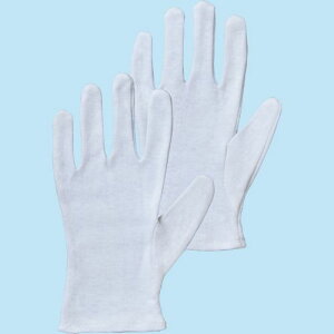 TPS XX }` L 1pbN(12o)(TGK-SMS-L) ڈ݌=