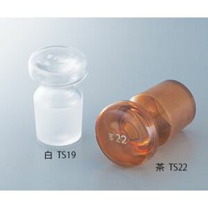 AY ̐όvpTS@ TS19 (1)(4571110705544) 񂹏i